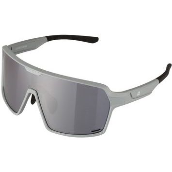 ALPINE PRO NOLE gray
