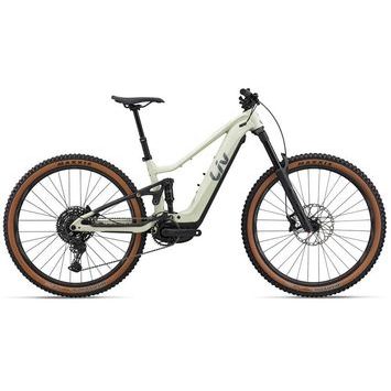 GIANT Embolden E+ 1 BOX L Pale Moss