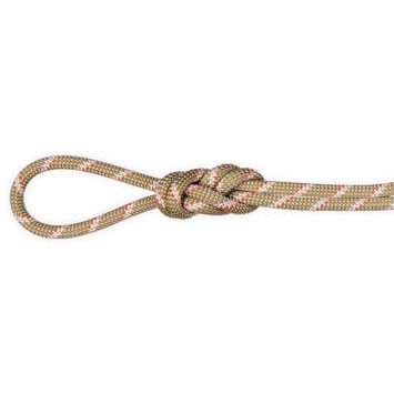 MAMMUT 8.0 Alpine Classic Rope 60m boa-white