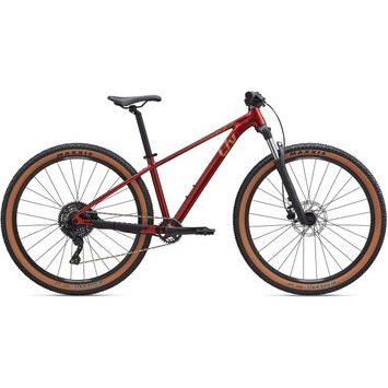 LIV Tempt 29 2 Mars Dust