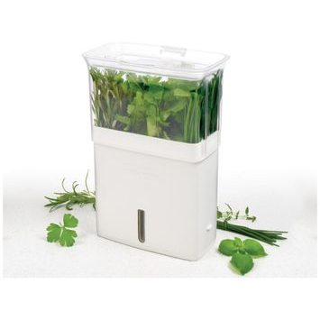 COLE&MASON Herb pot for storing herbs