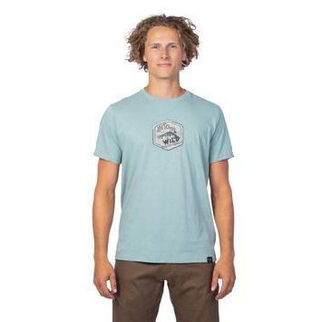 HANNAH SKATCH gray mist