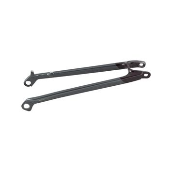 TREK Seatstay Trek Rail 29 2021 Carbon Red Smoke/Grey