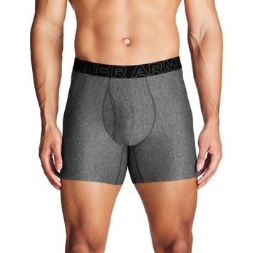 UNDER ARMOUR M UA Perf Tech 6in 1pk šedá