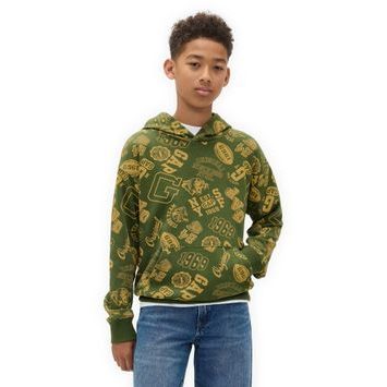 GAP 795210-01 Dětská mikina s logem Zelená