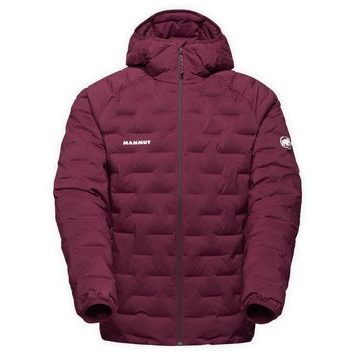 MAMMUT Sender IN Hooded Jacket Men vin