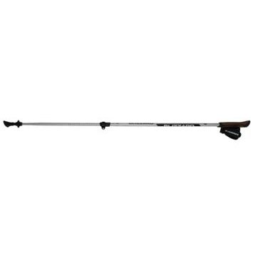 BLIZZARD Alu Performance nordic walking poles, silver/black
