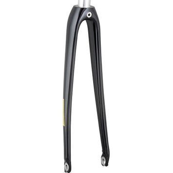 TREK Fork Rigid Trek Domane AL2 48R 355mm Matte Black/Carbon Smoke