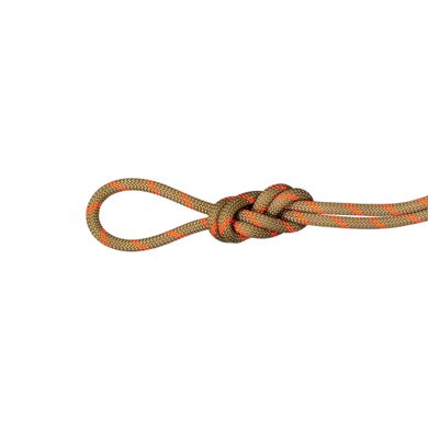 MAMMUT 8.0 Alpine Dry Rope Boa-safety orange