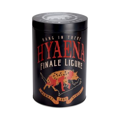 MAMMUT Pure Chalk Collectors Box hyaena