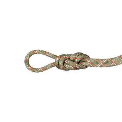 MAMMUT 9.5 Gym Classic Rope Boa-white