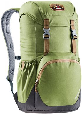 DEUTER Walker 20 pine-graphite