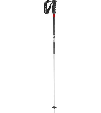 LEKI High Performance Rental, anodized natural silver-black