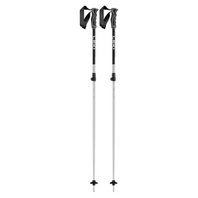 LEKI Rental Vario 110-145 cm, anodized natural silver-eloxal black