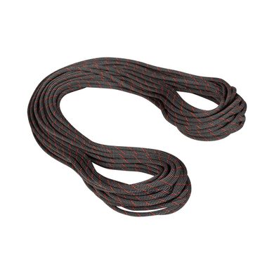 MAMMUT 9.8 Crag Classic Rope Black-white