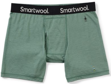 SMARTWOOL M MERINO BOXER BRIEF BOXED sage