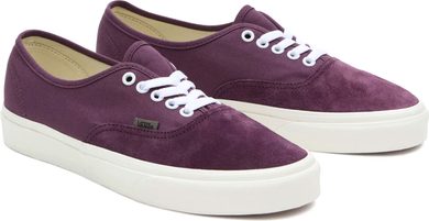 VANS Authentic PLUM WINE