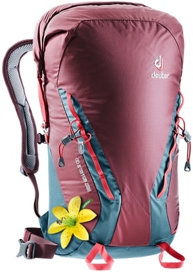 DEUTER Gravity Rock&Roll 28 SL maron-arctic