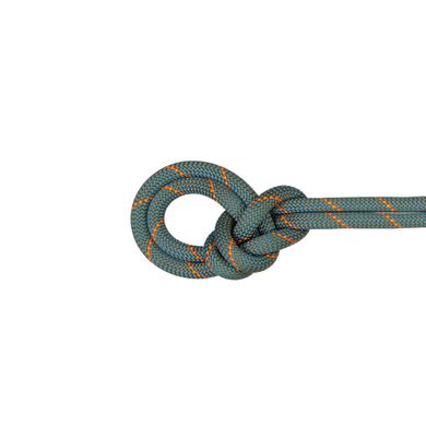 MAMMUT 9.9 Crag Workhorse Dry Rope Boa-ocean