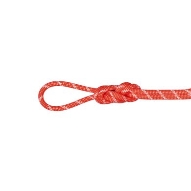 MAMMUT 8.0 Alpine Classic Rope orange-white