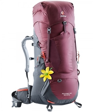 DEUTER Aircontact Lite 45 + 10 SL maron-graphite