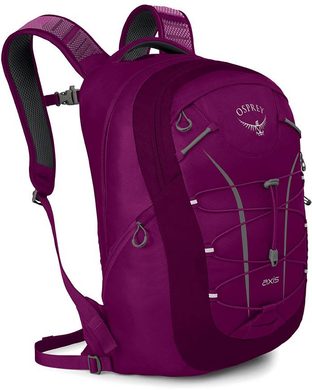 OSPREY Axis 18 II Eggplant Purple