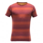 DEVOLD Breeze Man T-Shirt Syrah Stripe