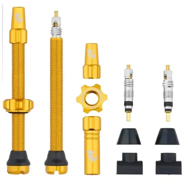 Tubeless Valve Stem Kit 60mm zlatá