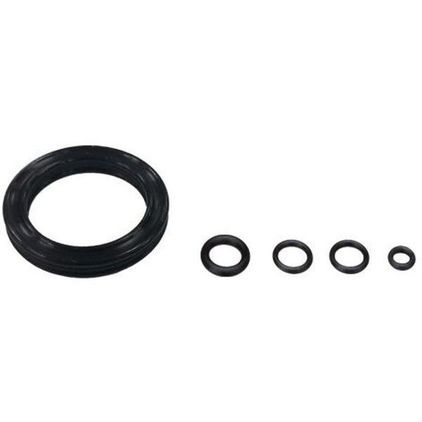 Elite DOT Bleed Kit Replacement Rings černá 5ks