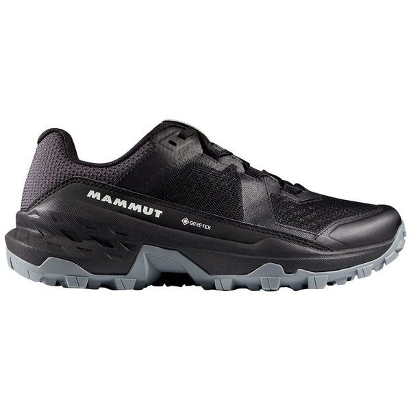Girun II Low GTX Women black-alloy