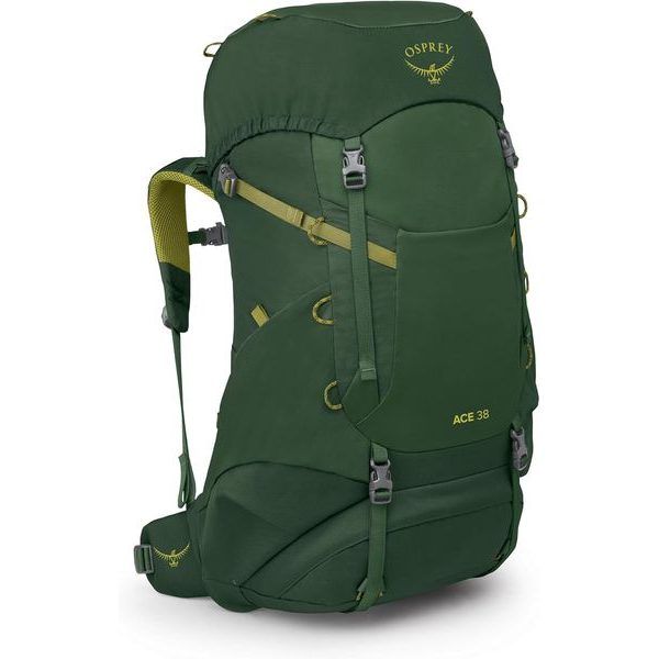 ACE 38, green canopy/matcha green