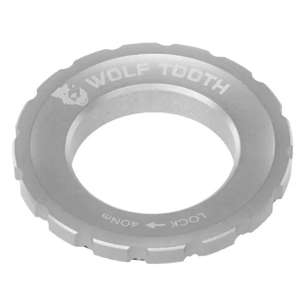 Centerlock Rotor raw stříbrná