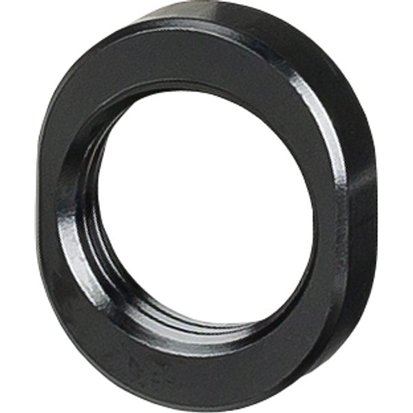 Session Main Pivot Oval Nut