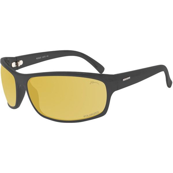 Arbe R2202D