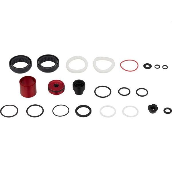AM SVC KIT 200H/1YR CHGR RC DB LYRK D1