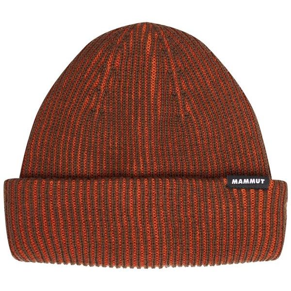 Waymarker Beanie autumn larice-soil