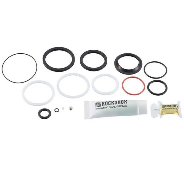 RS AM SVC KIT 200H/1YR VIVID COIL C1