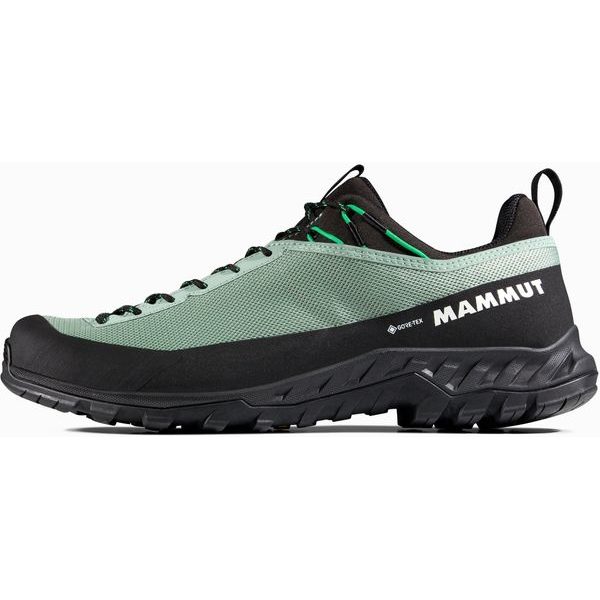 Alnasca IV LowTX Men deep silver sage-pinea