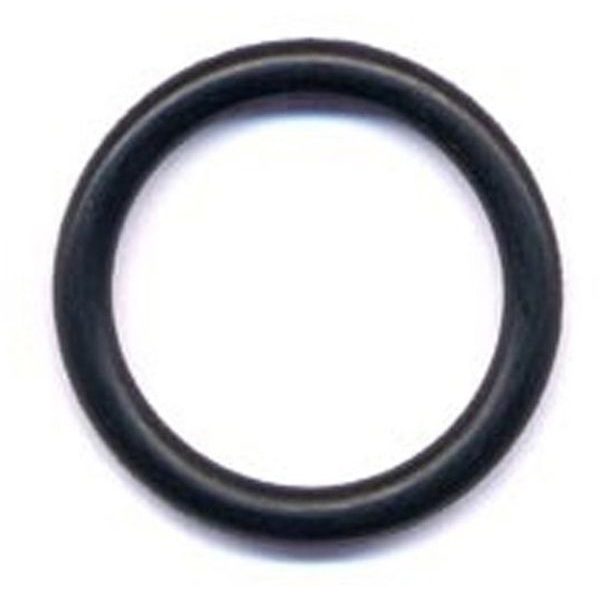 FUEL BOTTLE STV PMP O-RNG