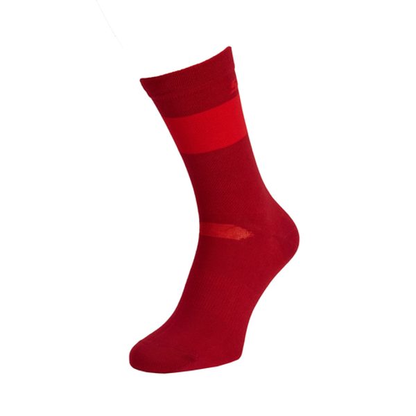 BARDIGA, merlot