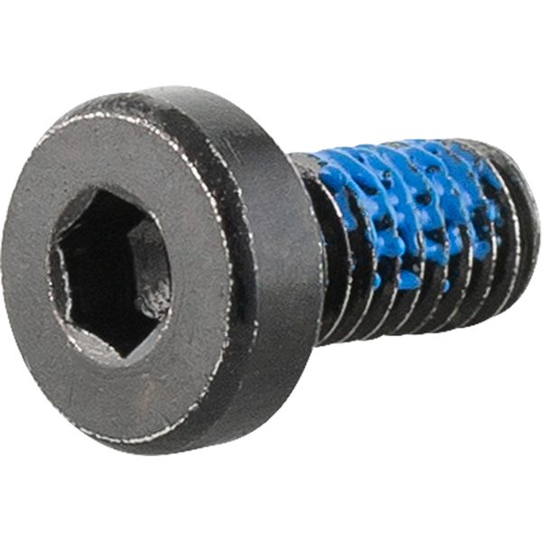 M3x0.5x6mm Low Profile Socket Head Cap Screw