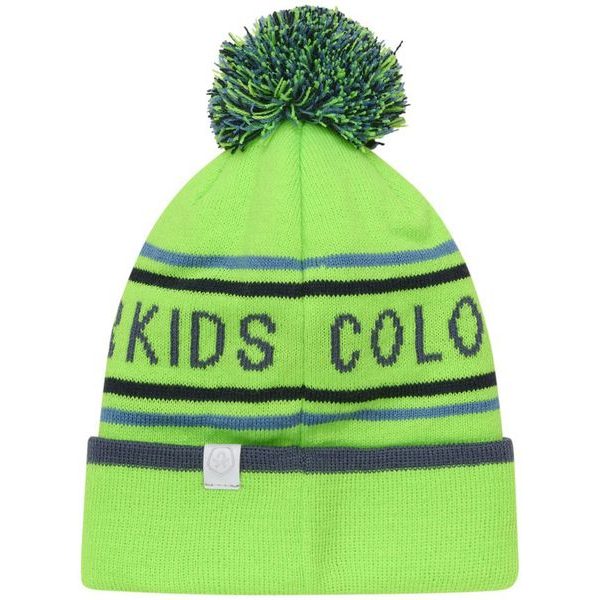 Hat - Logo CK-Green Gecko