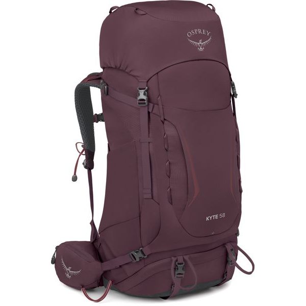 KYTE 58, elderberry purple