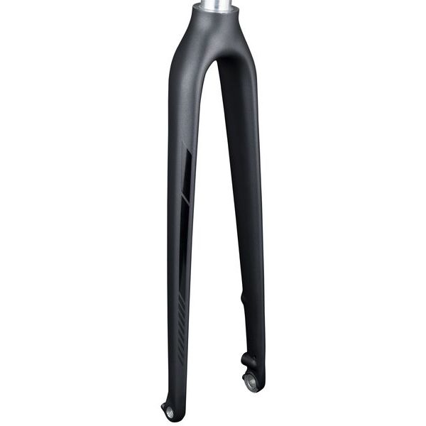 Fork Rigid Trek FXS6 700c Carbon Disc 12mm Thru Black/Black