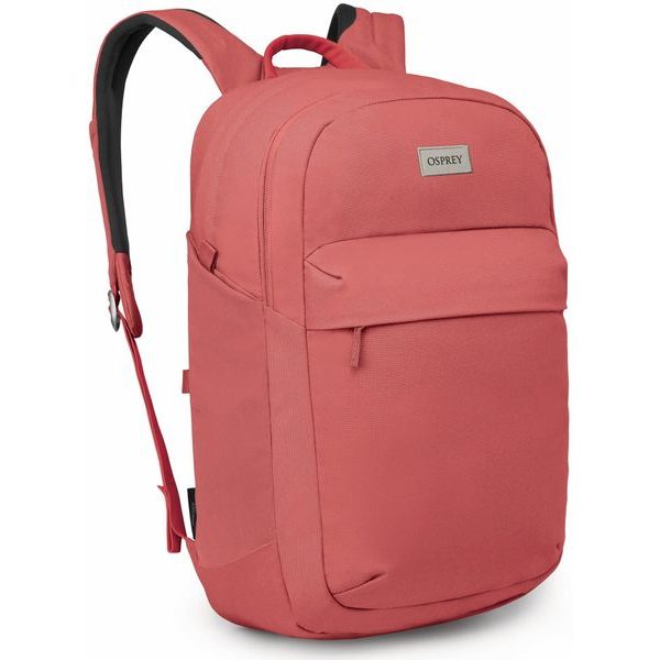 ARCANE EXTRA LARGE 28 red pampas