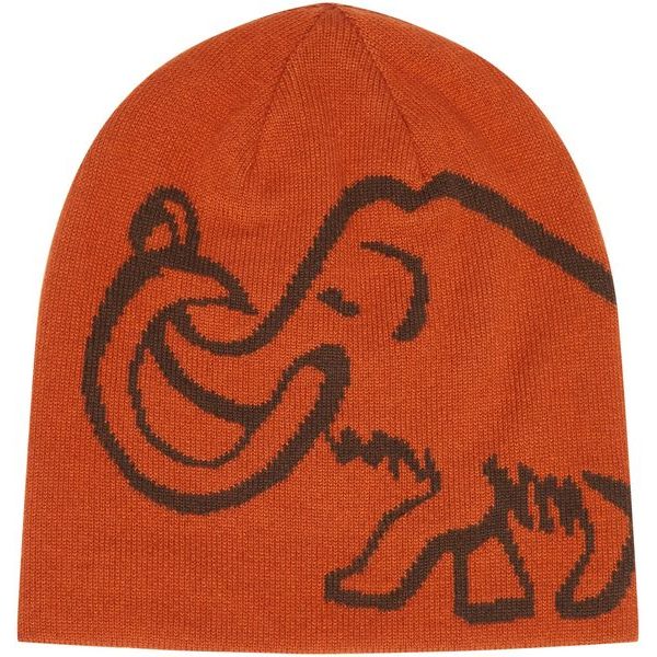 Mammut Logo Beanie Reversible autumn larice-soil