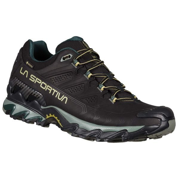Ultra Raptor II Leather GTX Black/Cedar