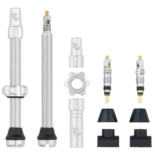 Tubeless Valve Stem Kit 60mm Raw Silver