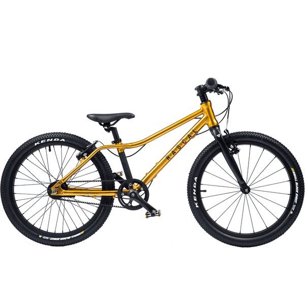 RASCAL 20" Gold