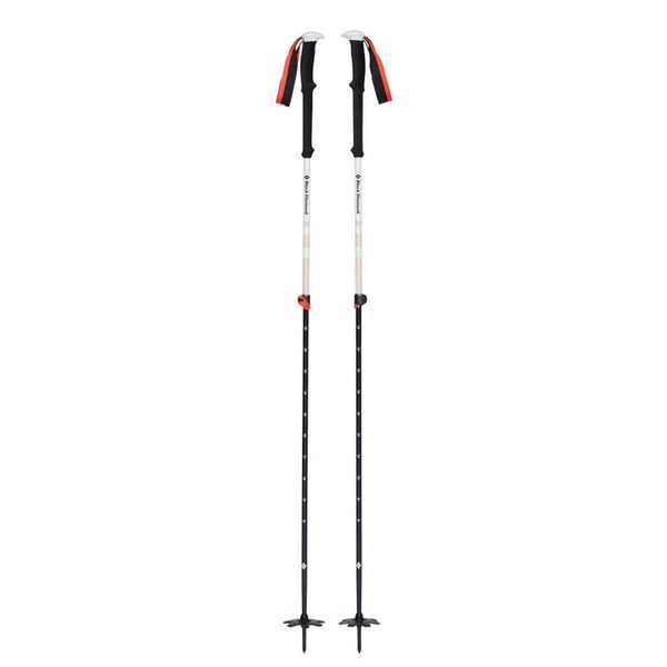 EXPEDITION 2 SKI POLES